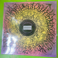 Charles Moothart - Black Holes Don't Choke | LP