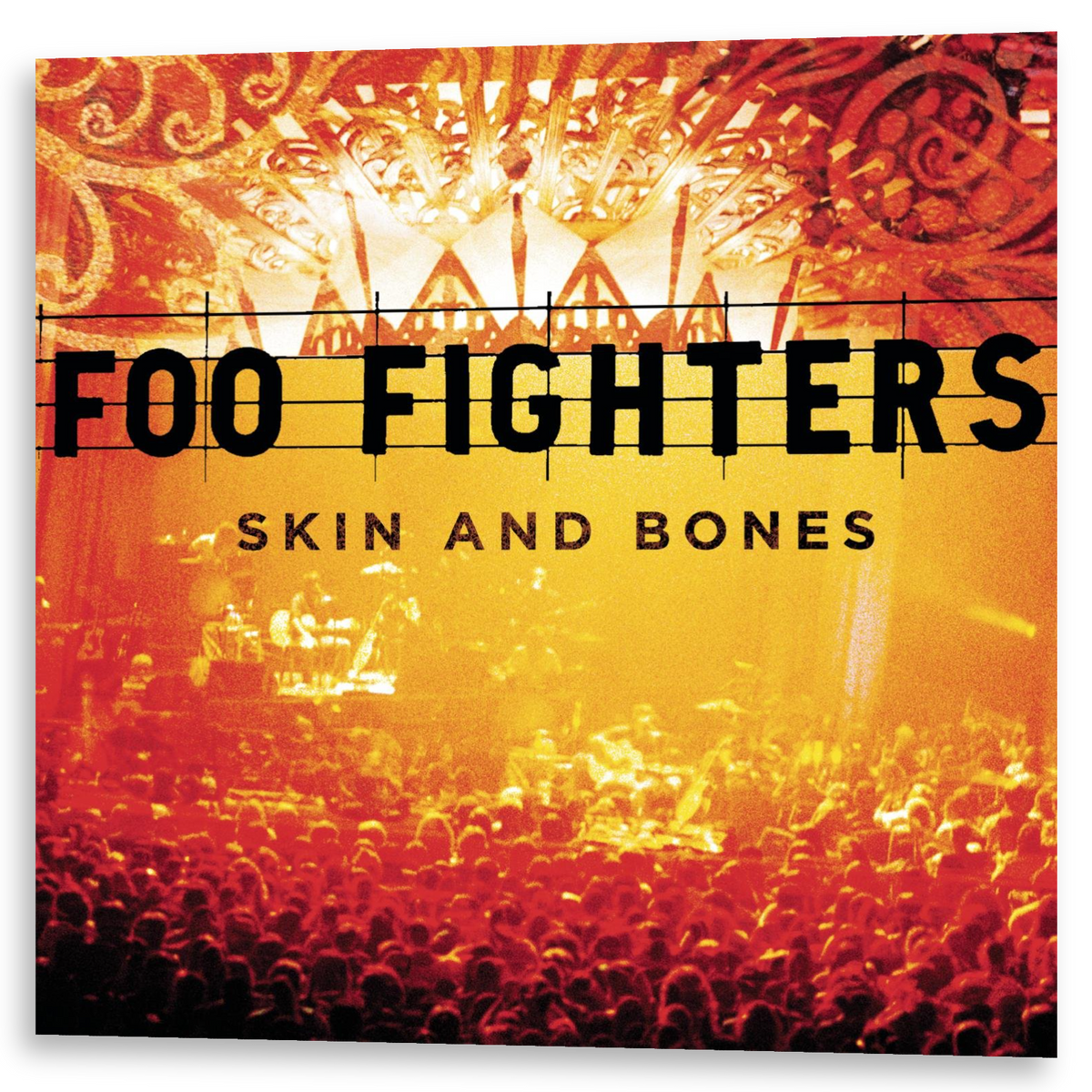 Foo Fighters - Skin and Bones | 2LP