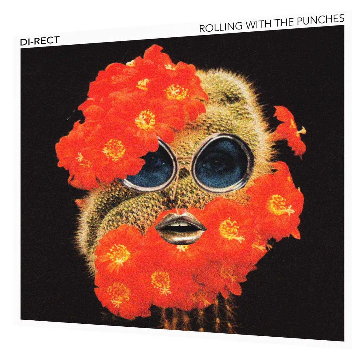 Di-Rect - Rolling With the Punches | LP