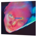 Fontaines D.C. - Dopamine Chamber | LP