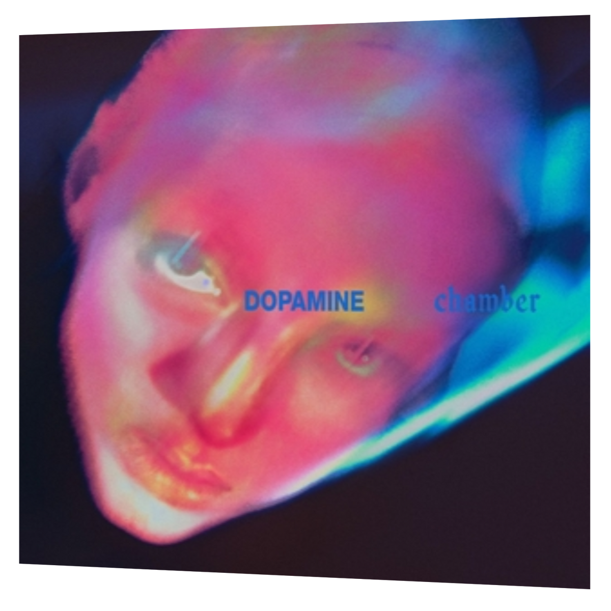 Fontaines D.C. - Dopamine Chamber | LP