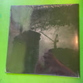 Armand Hammer & Kenny Segal - Doves | 12''