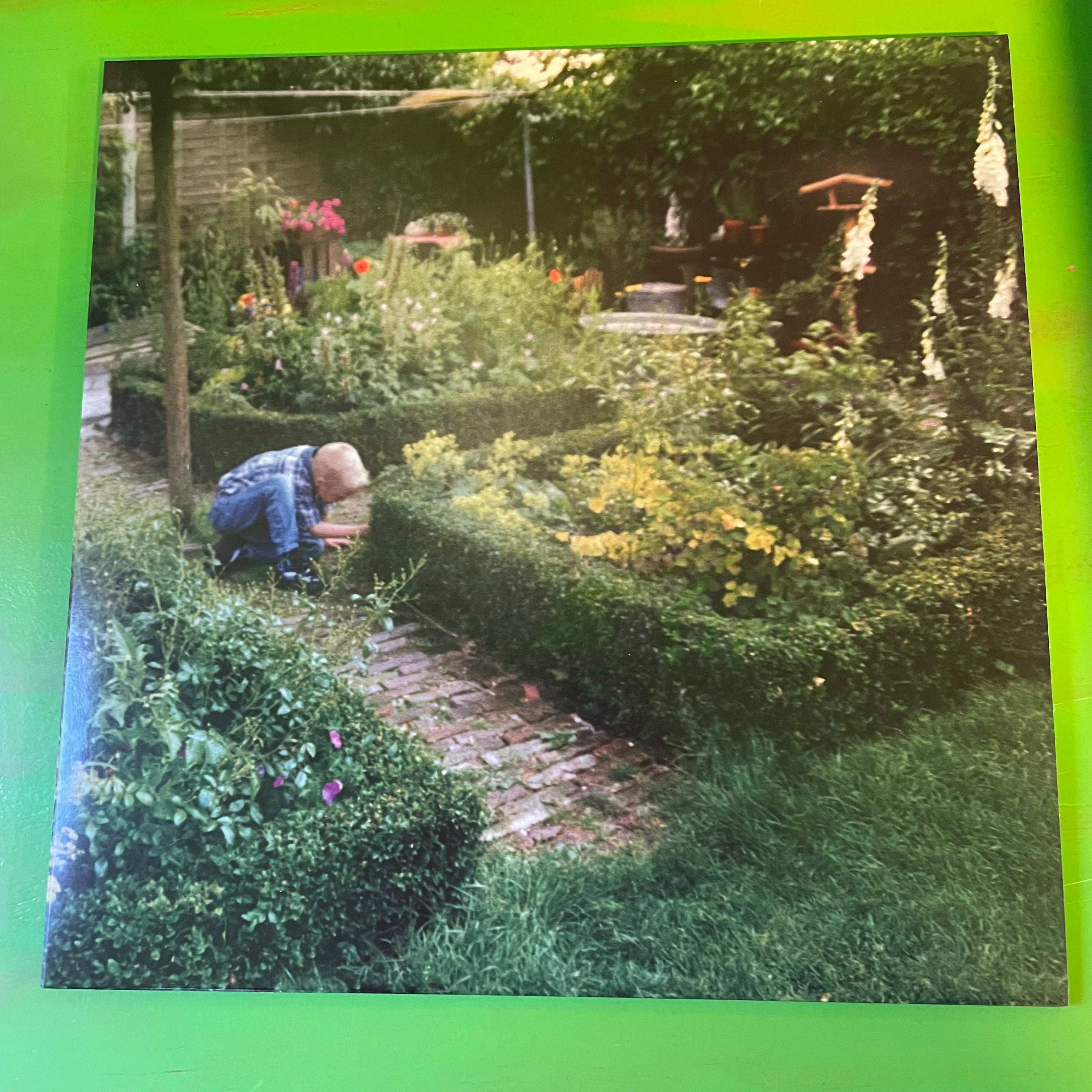 Jellephant - Undead | LP