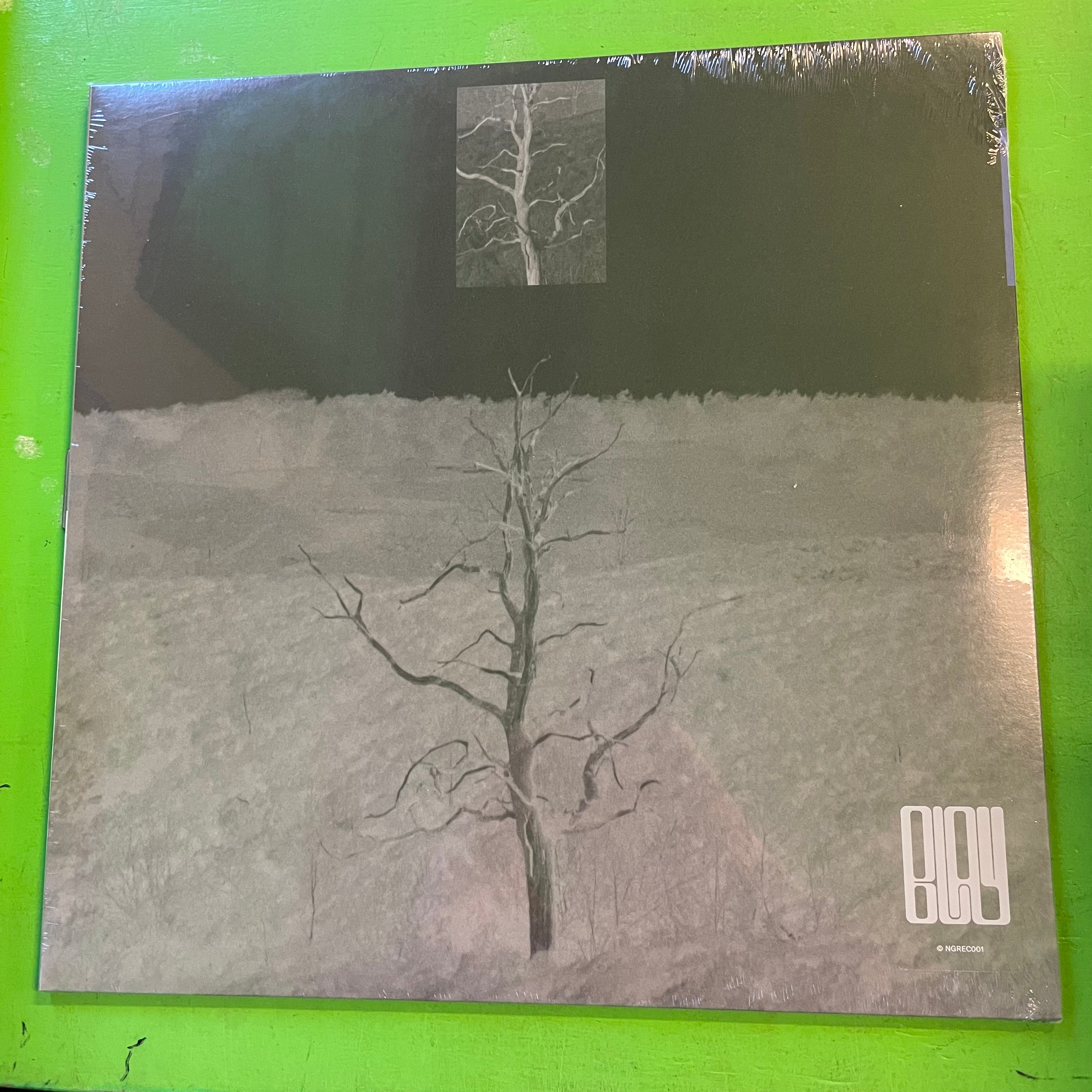 Blay - Spiritual Emersion | 12''