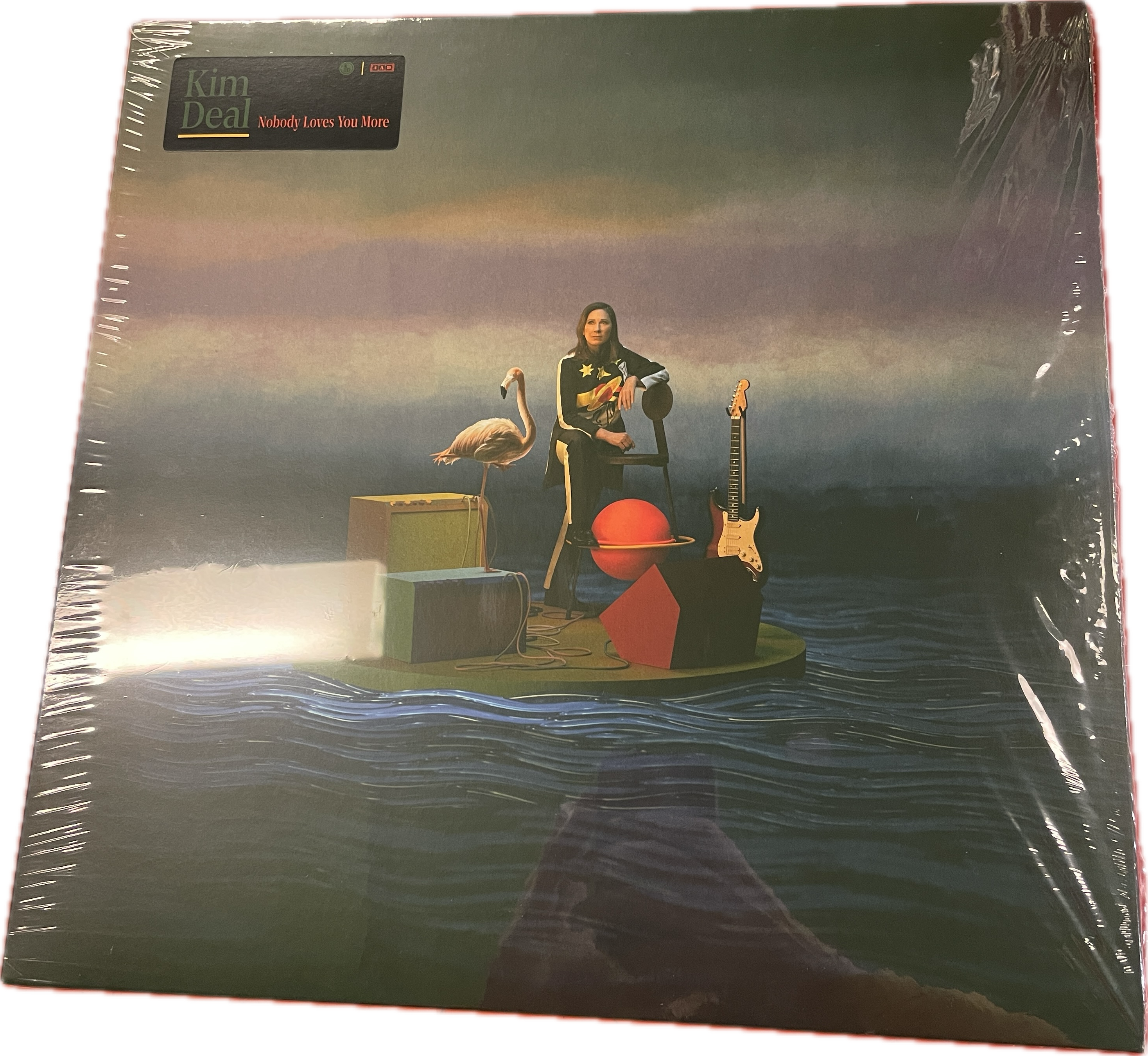 Kim Deal - Nobody Loves You More | LP