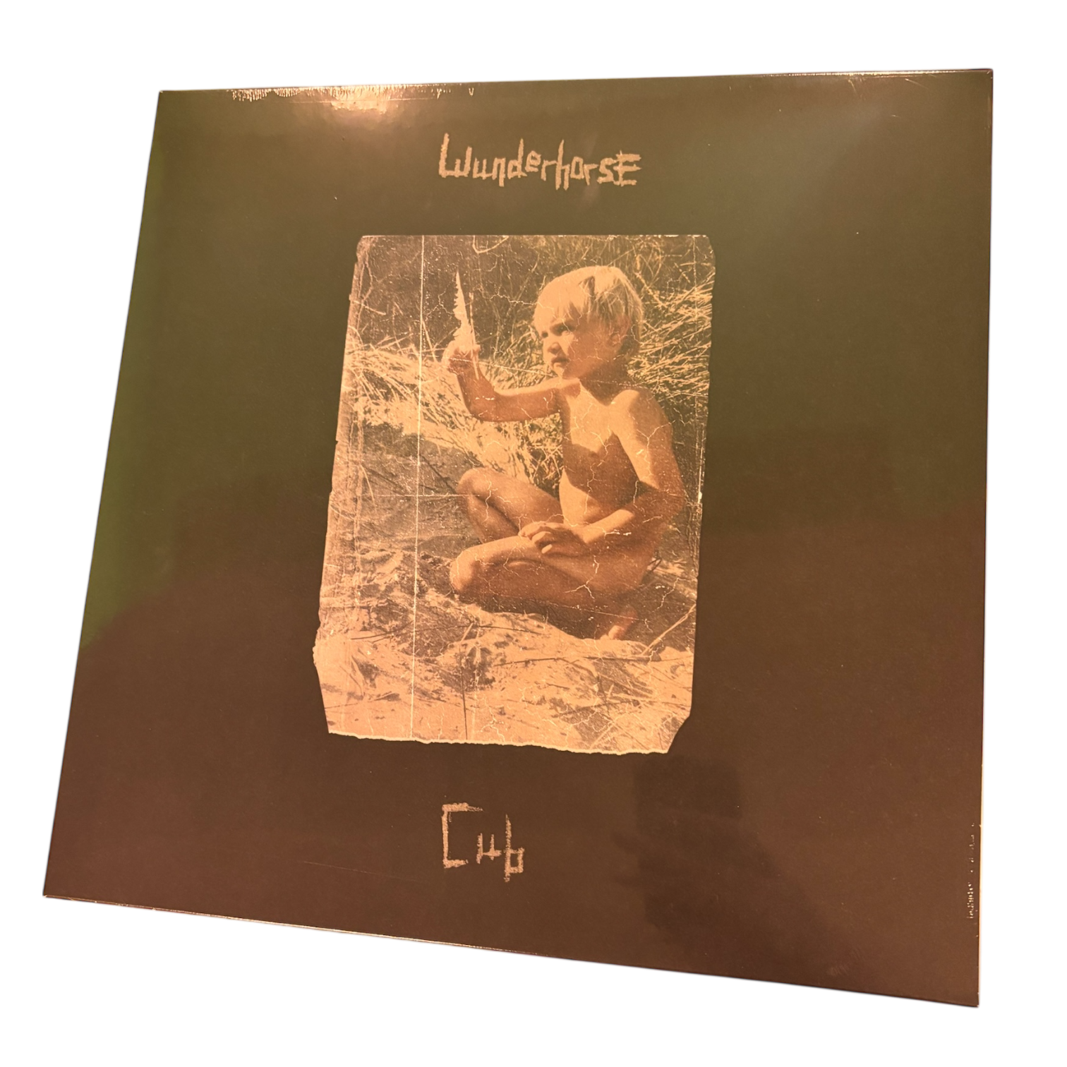 Wunderhorse - Cub | LP