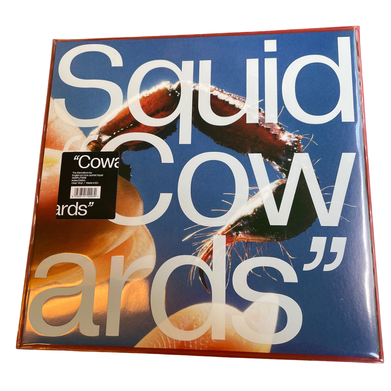 Squid - Cowards | LP