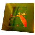 Dua Lipa - Live From The Royal Albert Hall | 2LP