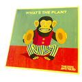 The Awkward  – What's The Plan | LP