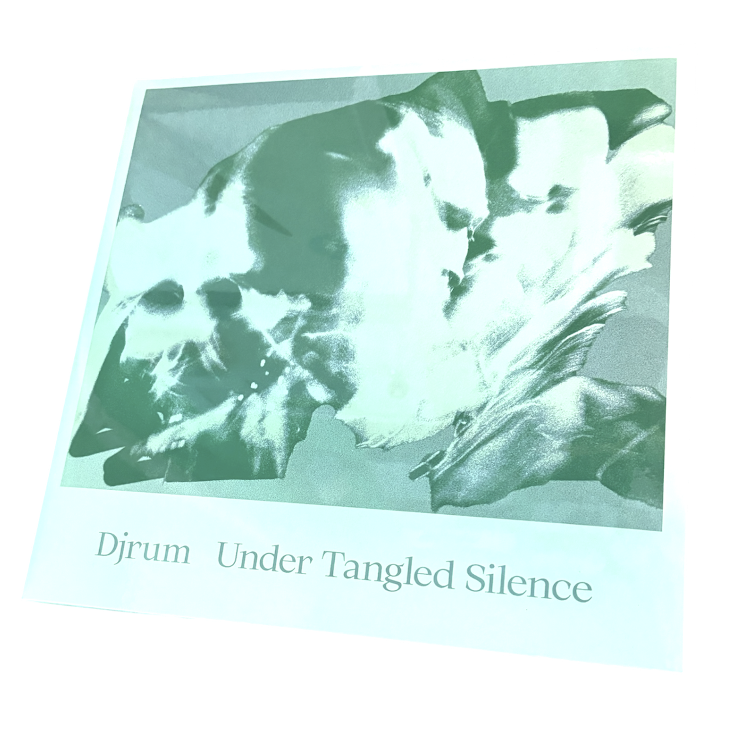 Djrum – Under Tangled Silence | 2x12"