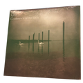 Om - Conference Of The Birds | LP
