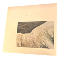 soccer Committee – ♡/Lamb | LP