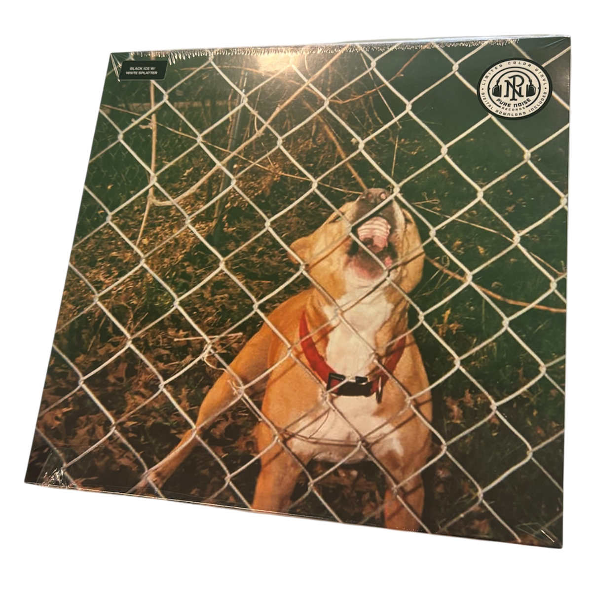 Knocked Loose - Pop Culture | 12"