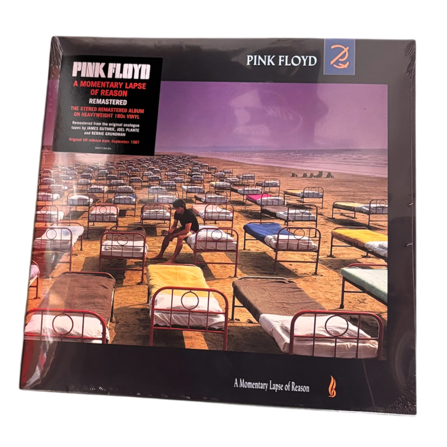 Pink Floyd - A Momentary Lapse Of Reason | LP