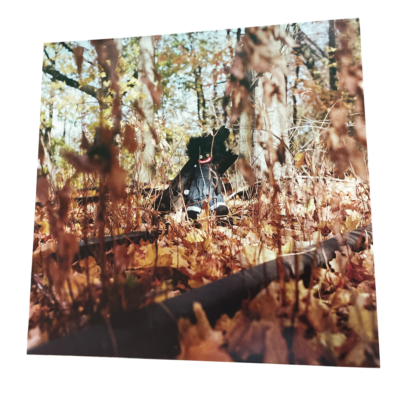 billy woods - Golliwog | 2LP