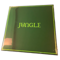 Jungle - Jungle | LP