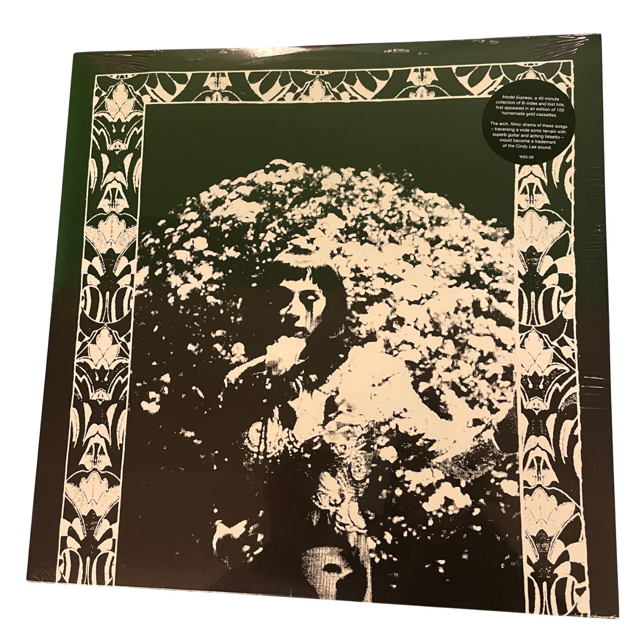 Cindy Lee - Model Express | LP