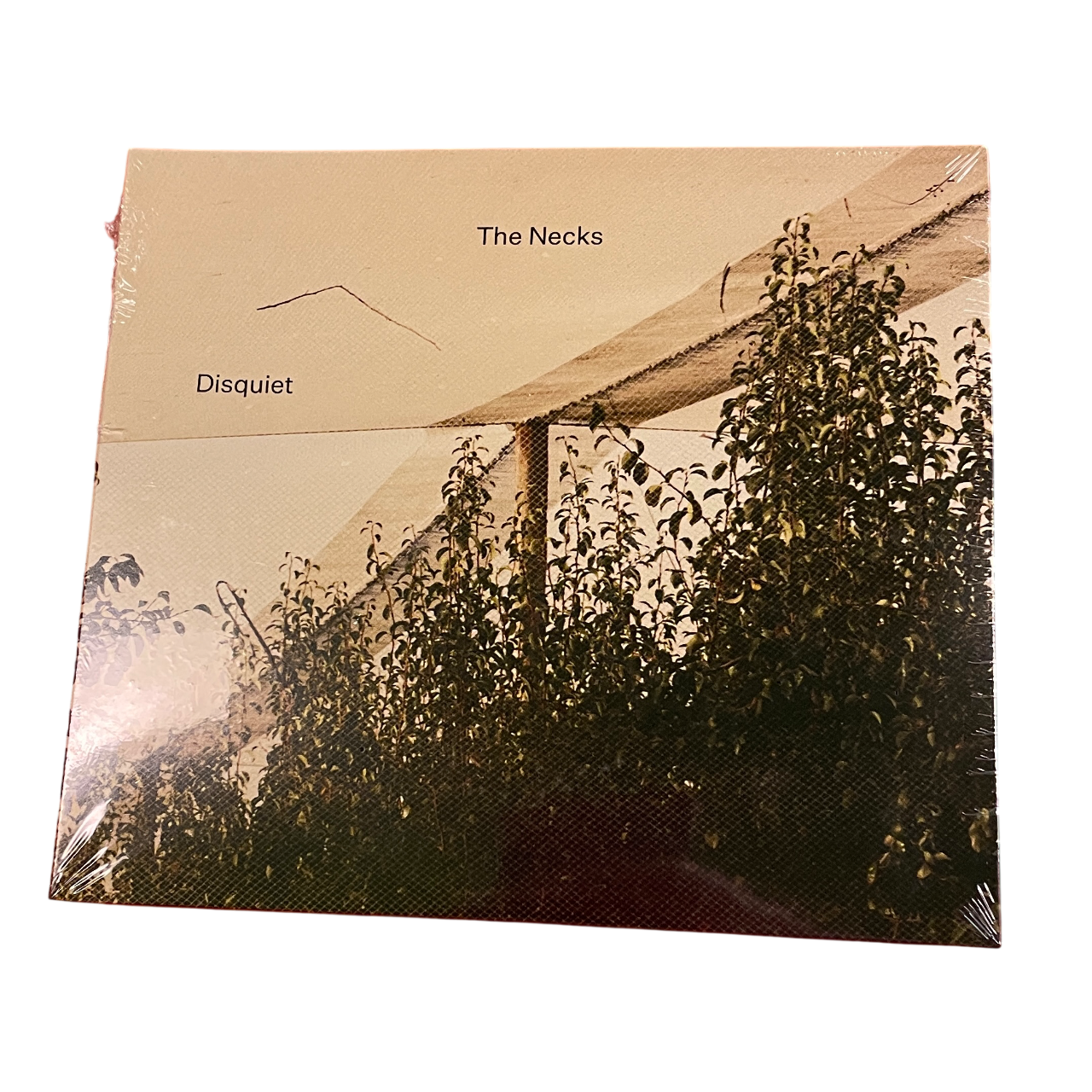 The Necks - Disquiet | 3CD