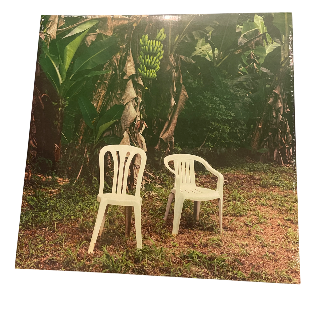 Bad Bunny - Debí Tirar Más Fotos | 2LP