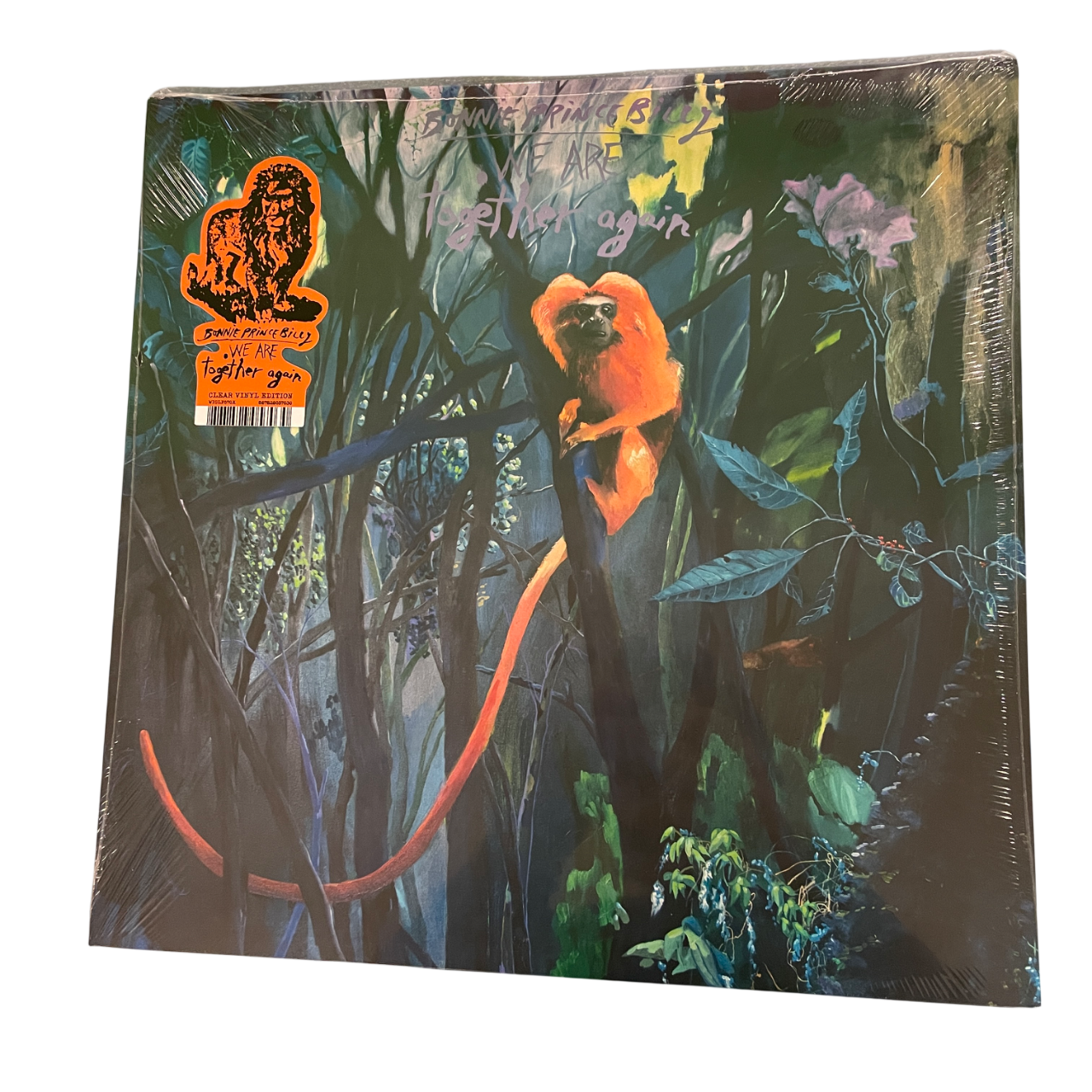 Bonnie 'Prince' Billy - We Are Together Again | LP