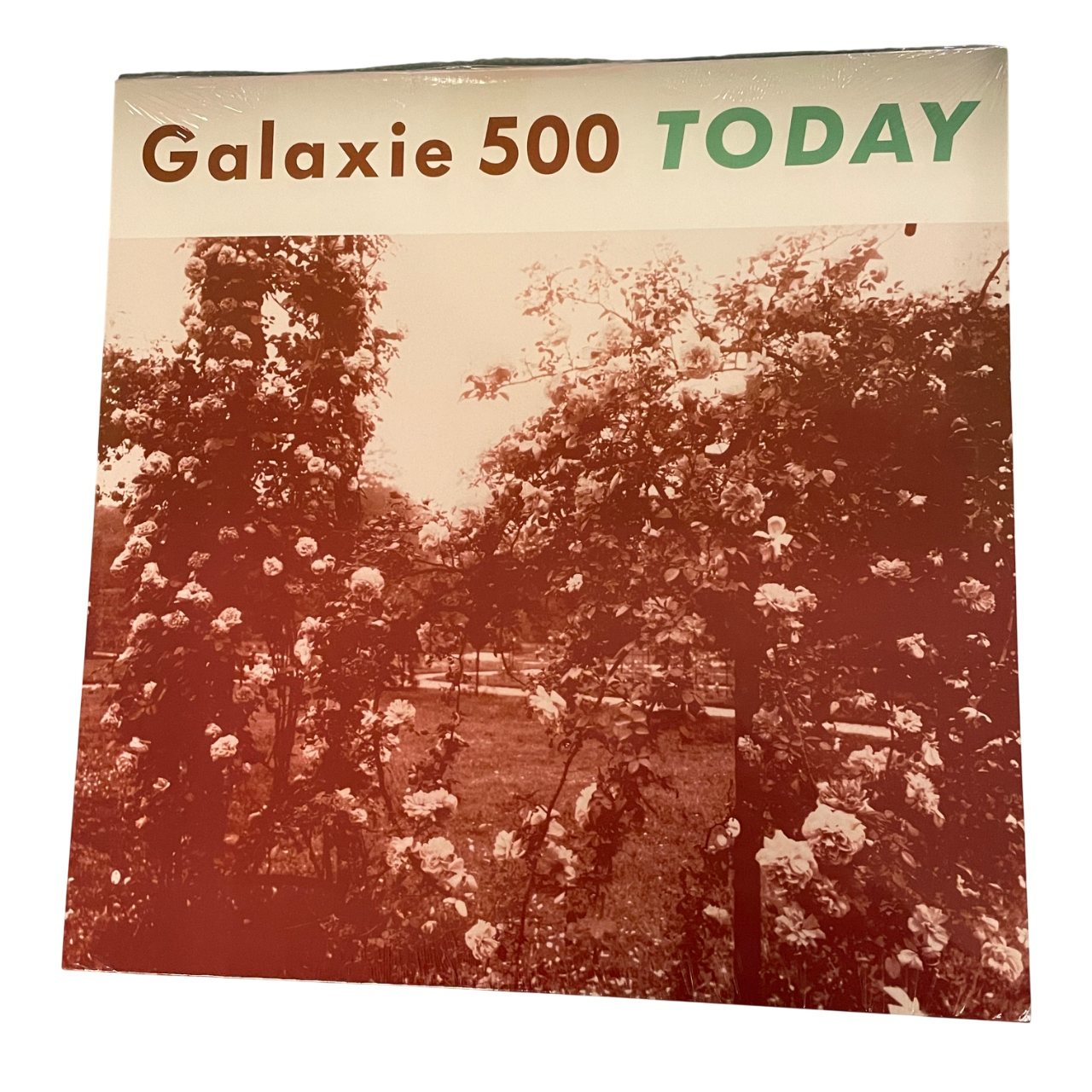Galaxie 500 - Today | LP