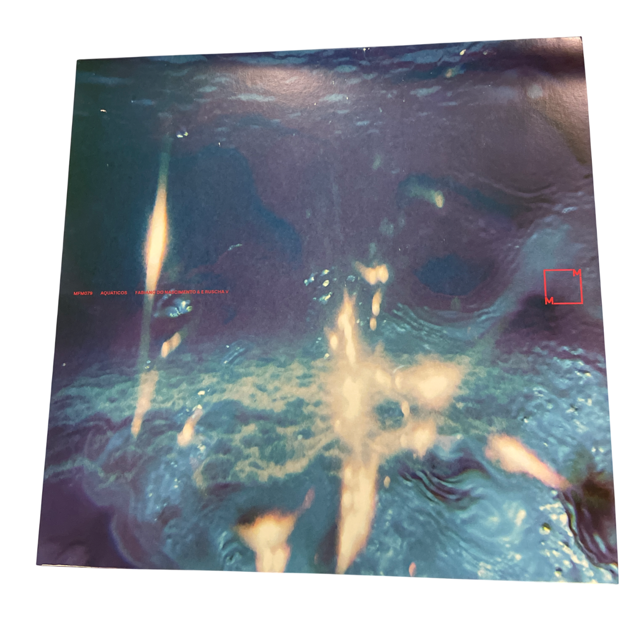 Fabiano Do Nascimento & E Ruscha V - Aquaticos | LP