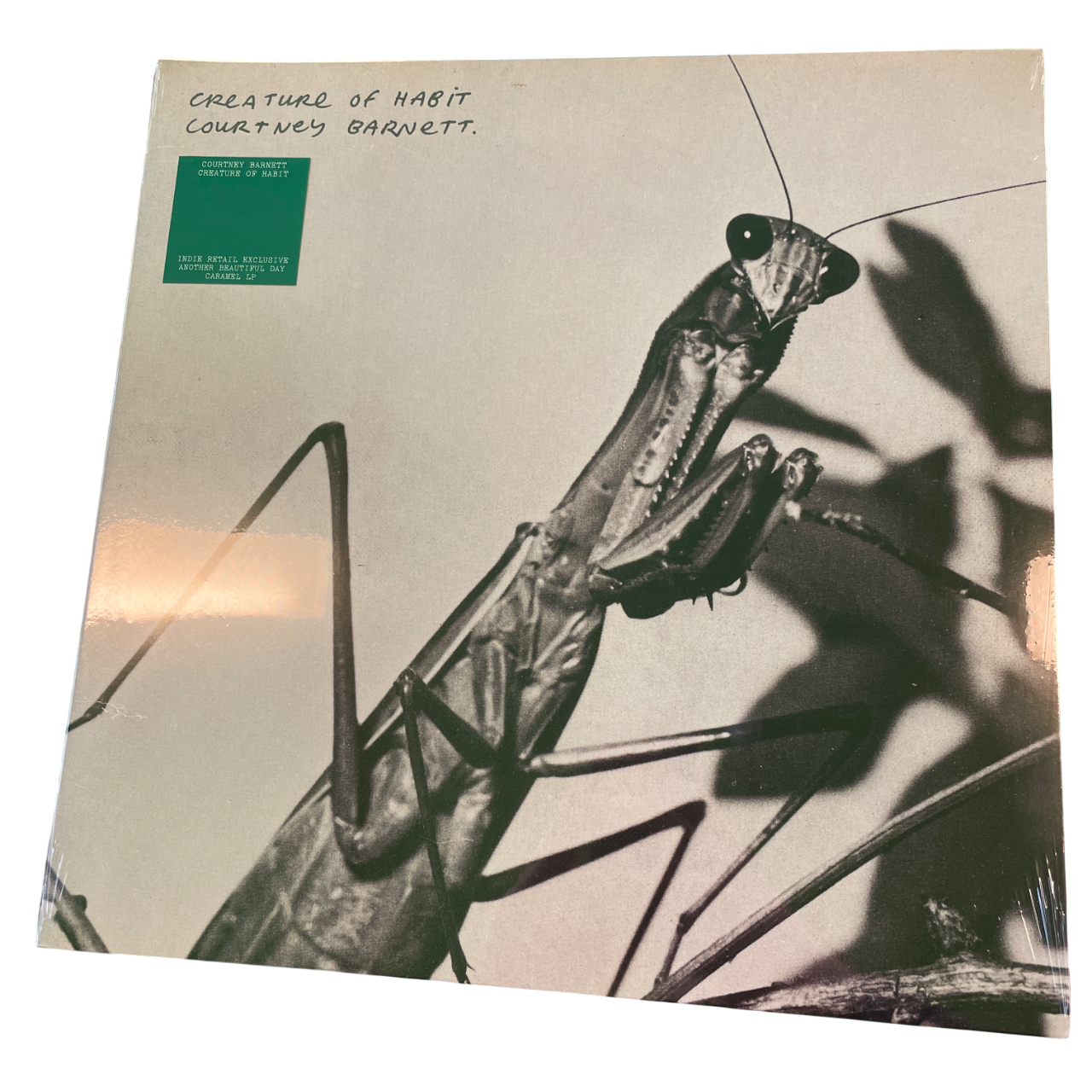 Courtney Barnett - Creature Of Habit | LP
