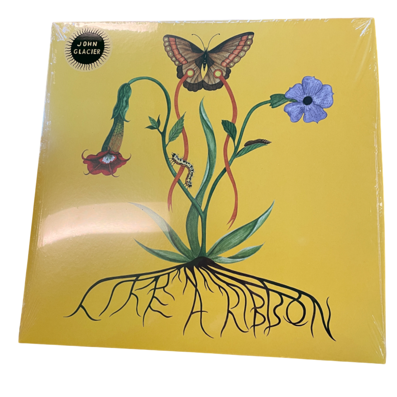 John Glacier - Like A Ribbon | LP