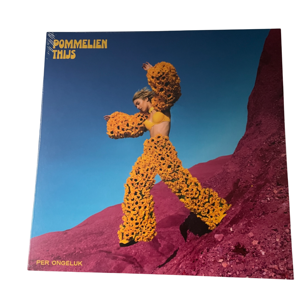 Pommelien Thijs - Per Ongeluk | LP