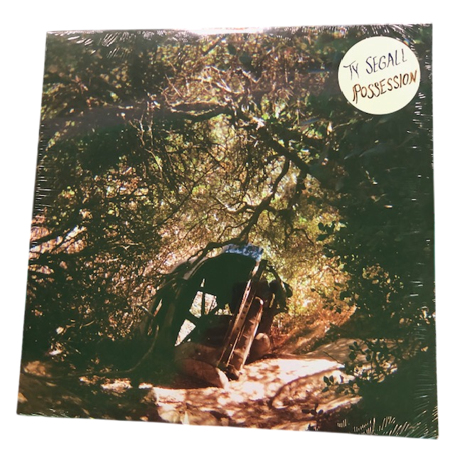 Ty Segall - Possesion | LP