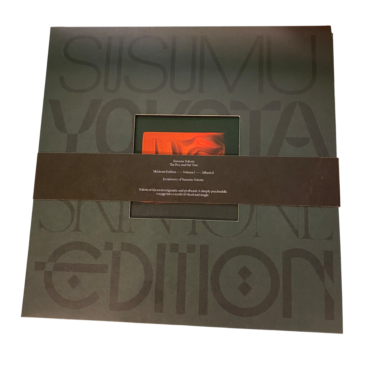 Susumu Yokota - The Boy And The Tree | 2LP