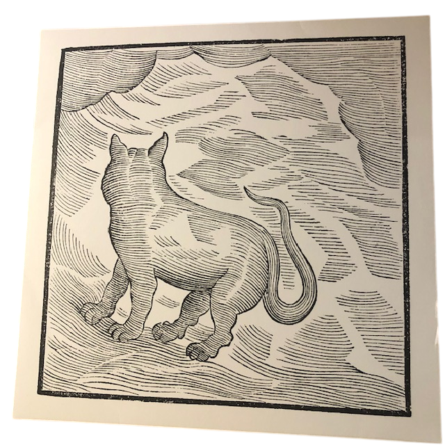 Valentina Magaletti & YPY - Kansai Bruises | LP