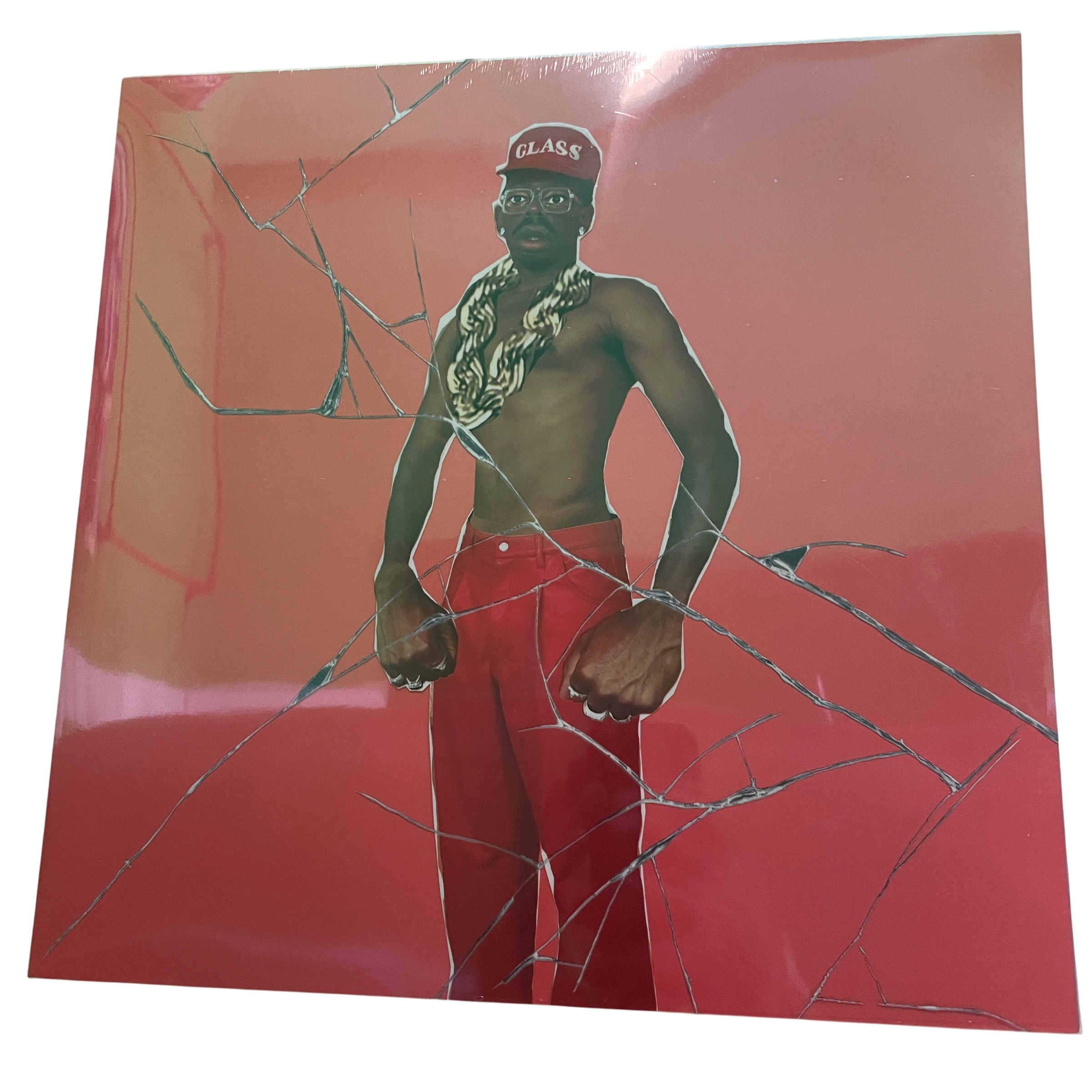 Tyler, The Creator - Don't Tap The Glass | LP