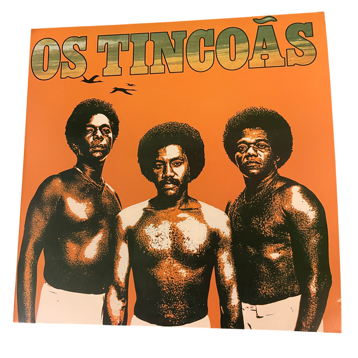 Os Tincoãs - Os Tincoãs ('77) | LP