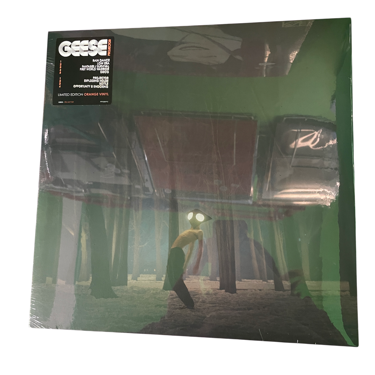 Geese - Projector | LP