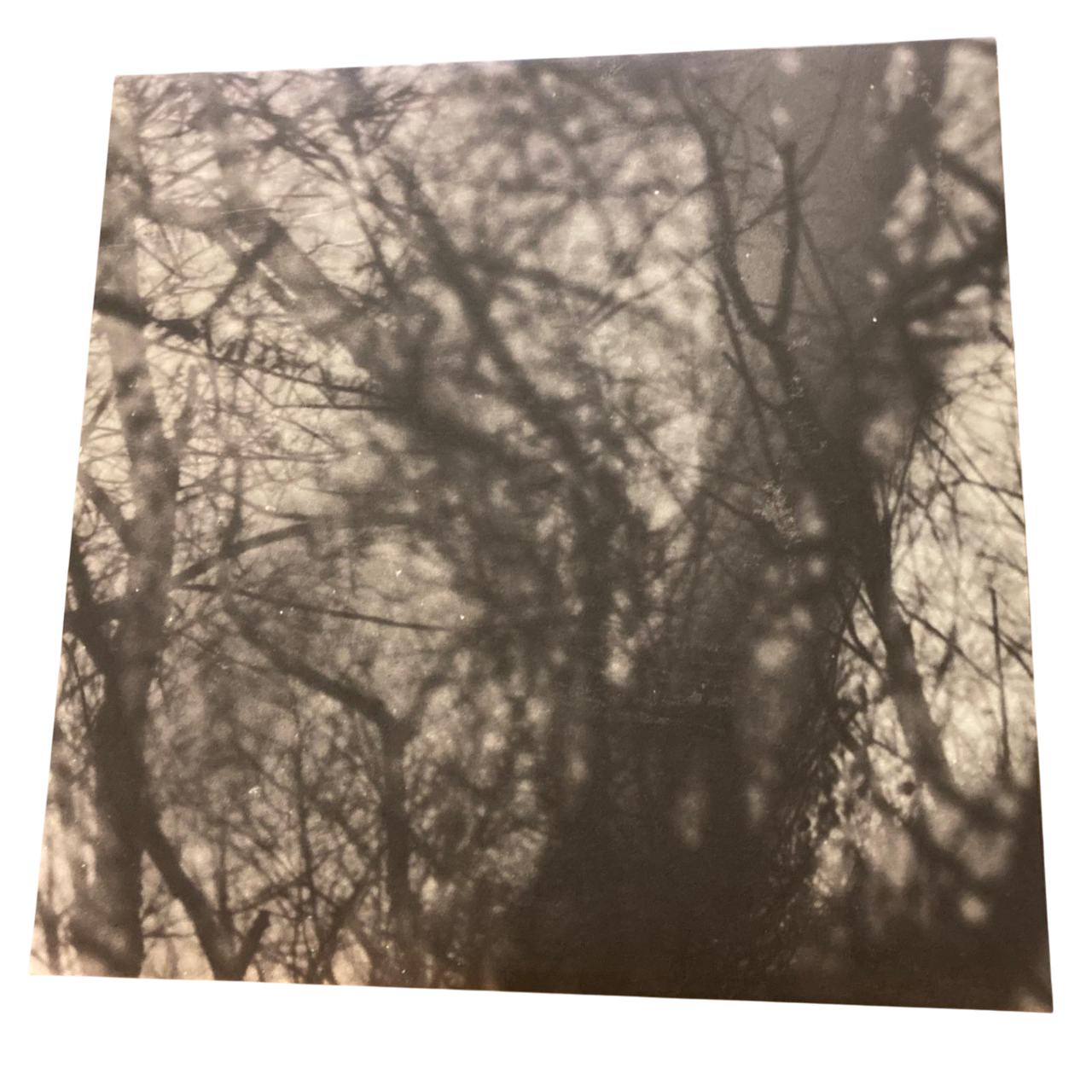 Grouper - Way Their Crept | LP