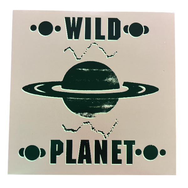 Wild Planet - Transmitter | 2x12"