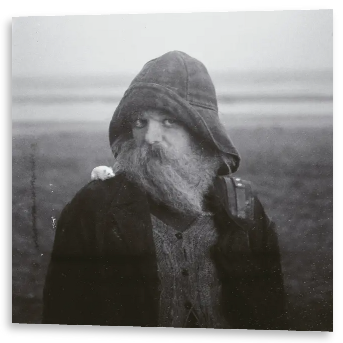 Mary In The Junkyard - Role Model Hermit | LP
