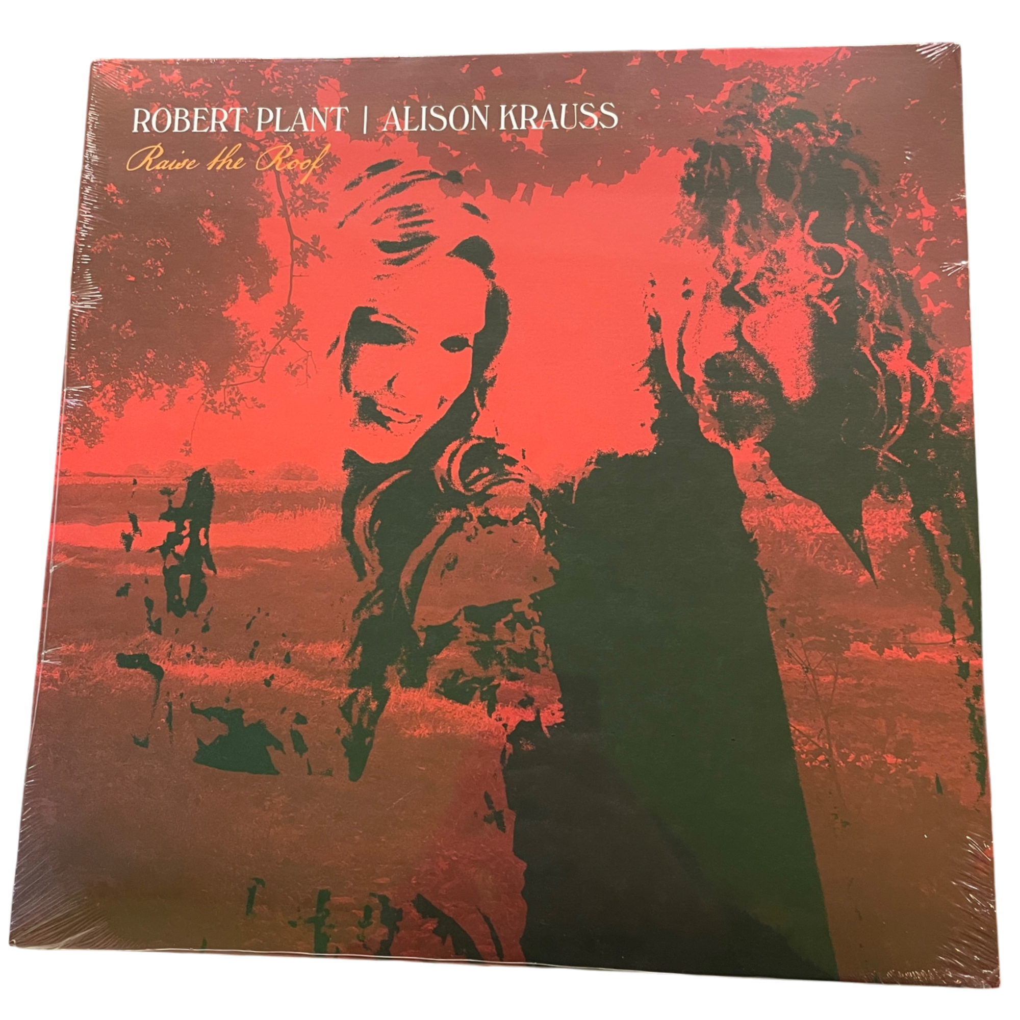 Robert Plant & Alison Krauss - Raise The Roof | 2LP