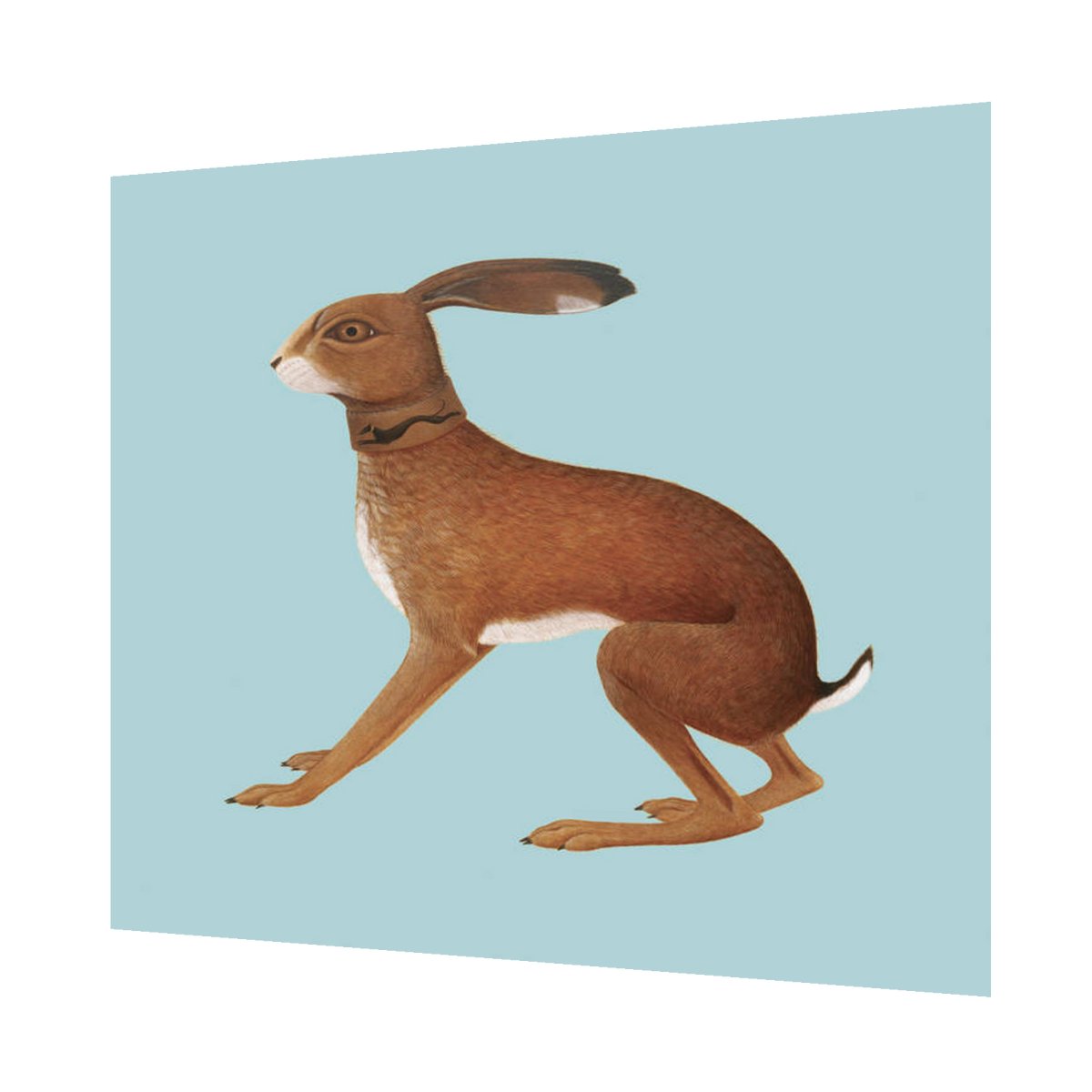 Vashti Bunyan - Lookaftering | 2LP