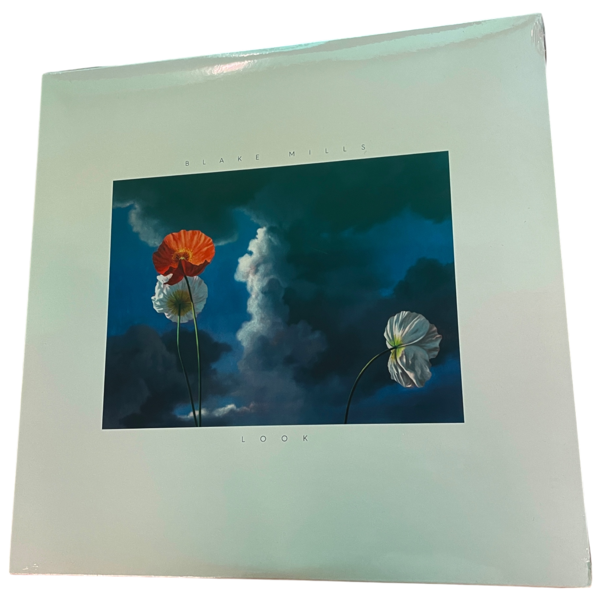 Blake Mills - Look | LP