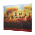 Bonobo - Distance In Static | 2LP