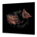 Gurriers - Nobody's Coming To Save You | LP