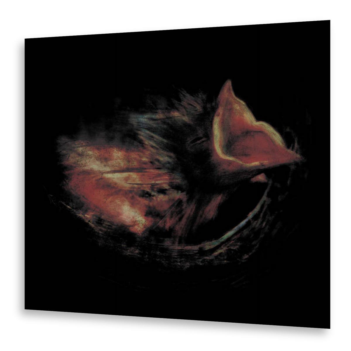 Gurriers - Nobody's Coming To Save You | LP