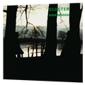 Cluster - Sowiesoso | LP