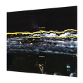 Gilla Band - Pugnello | LP