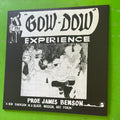 Prof. James Benson - The "Gow-Dow" Experience | LP