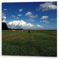 Biosphere - The Hilvarenbeek Recordings | LP