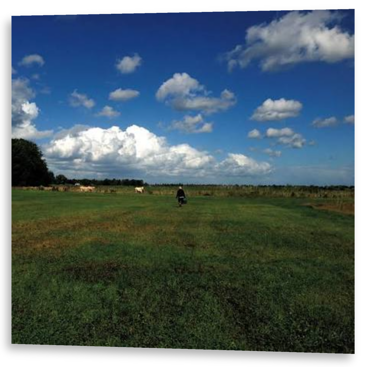 Biosphere - The Hilvarenbeek Recordings | LP