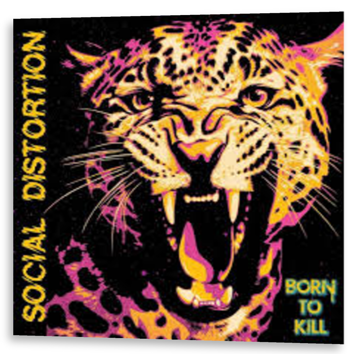 Social Distortion - Born To Kill | 2LP